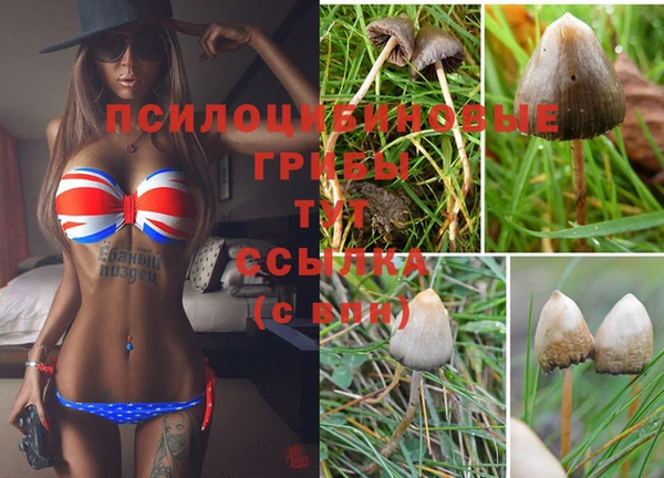 ALPHA PVP Алексин
